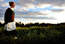 A fashion shoot of a female model in a sunflower field